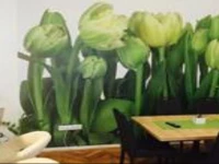 Best Home in Budapest