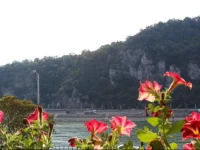 Breathtaking Danube Apartment