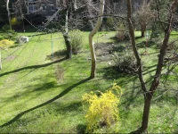 Budapest ArГ©na Garzon