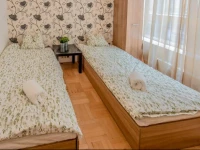 Budapest Standard Silver