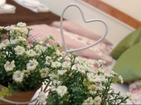 City Centrum Apartman