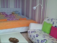 Dembinszky Apartment