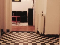 Follow the white rabbit...