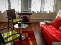 Friendly flat for two