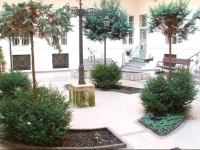 Little Italy New York