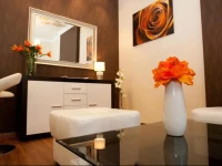 Luxury Budapest Apartment