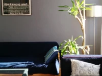 Minestrone Apartment