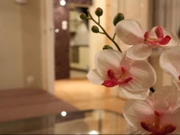 Opera Family Apartment Budapest