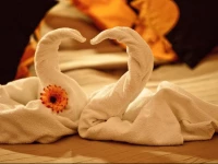 Planet Holiday Apartments