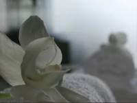 Unique Panorama Apartment