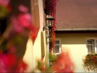 NГ©methy PanziГі