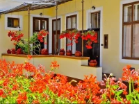 Zsuzsanna VendГ©ghГЎz