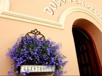 DobГі VendГ©ghГЎz