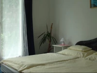 Evelyn VendГ©ghГЎz Eger