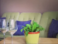 TГјndГ©rpart Apartment