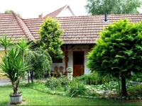 Violetta VendГ©ghГЎz