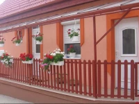 MГіnika VendГ©ghГЎz