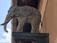 Arany ElefГЎnt PanziГі