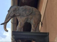 Arany ElefГЎnt PanziГі