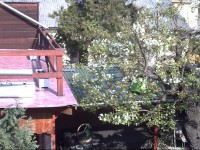 Szent GyГ¶rgy VendГ©ghГЎz