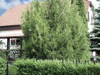 Holiday Home FonyГіdliget 05