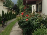 BalГЎzs VendГ©ghГЎz