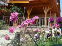 Lovas VendГ©ghГЎz