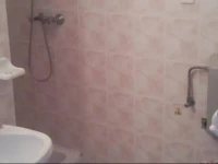 Andrea-Monika-VendГ©ghГЎz-HarkГЎny