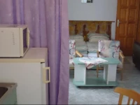 TerГ©zia vendГ©ghГЎz