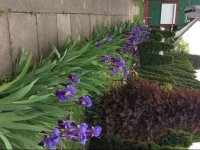 CiklГЎmen Apartman