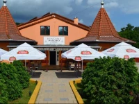 HungГЎria PanziГі