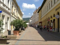 GrГЎnГЎtalma szГЎllГЎs