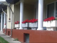 JГєlia VendГ©ghГЎz