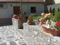 Retelvitez VendГ©ghГЎz