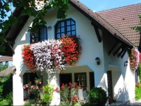 Apartment Siofok, Somogy 14