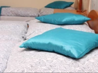 BelvГЎrosi PanziГі