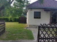 Diana VendГ©ghГЎz