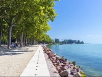 Г–rjГ¶ngЕ‘ Majom Hostel