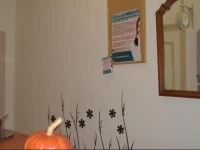 Rusztikus lakГЎs kilГЎtГЎssal