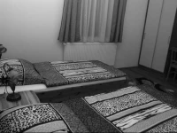 Anna VendГ©ghГЎz Tarcal