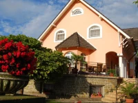 BarackvirГЎg PanziГі