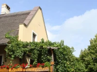 AndrГЎs NГЎdfedeles VendГ©ghГЎz