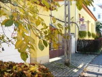 AngГ©la VendeghГЎz