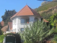 Magda VendГ©ghГЎz