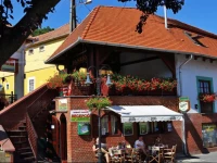 VaskГі PanziГі Borpince