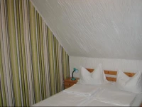 ГЃrpГЎd PanziГі Г©s Г‰tterem