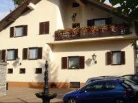 Г‰llЕ‘ PanziГі