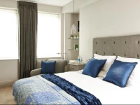 The Bull and The Hide