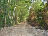 Orchard Fruit Farm Bungalow