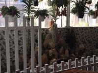 Kens House Backpackers - Original